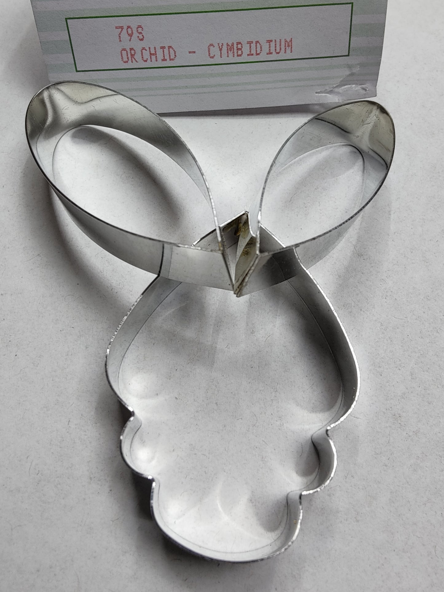 Orchid - cymbidium-79s Framar Cutter