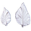 Squire Kitchen -GI Leaf Veiner Datura Extra Large 10.5cm