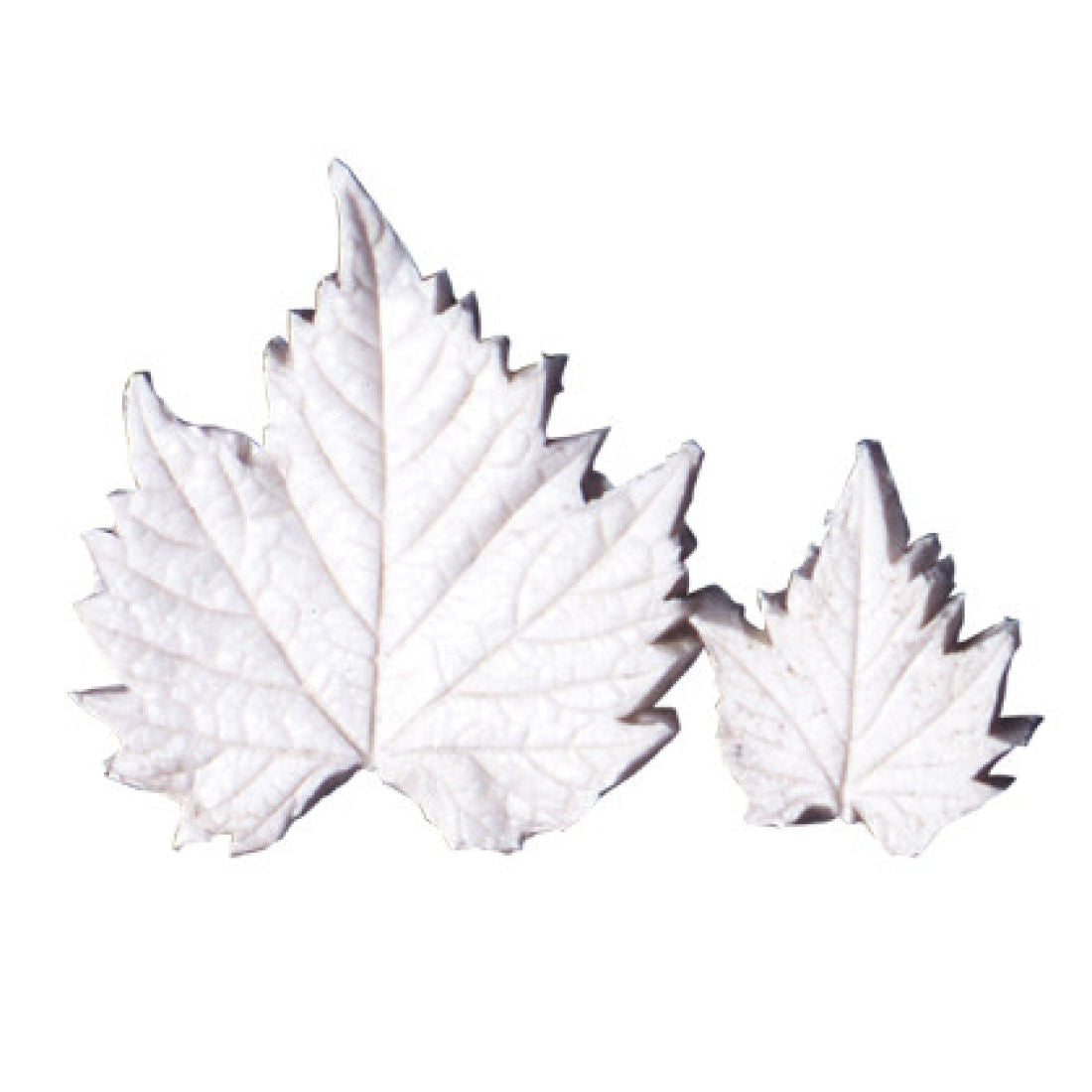 SK-GI Leaf Veiner Grapevine Large 9.5cm