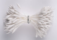 White Long Pointed Dull Stamen