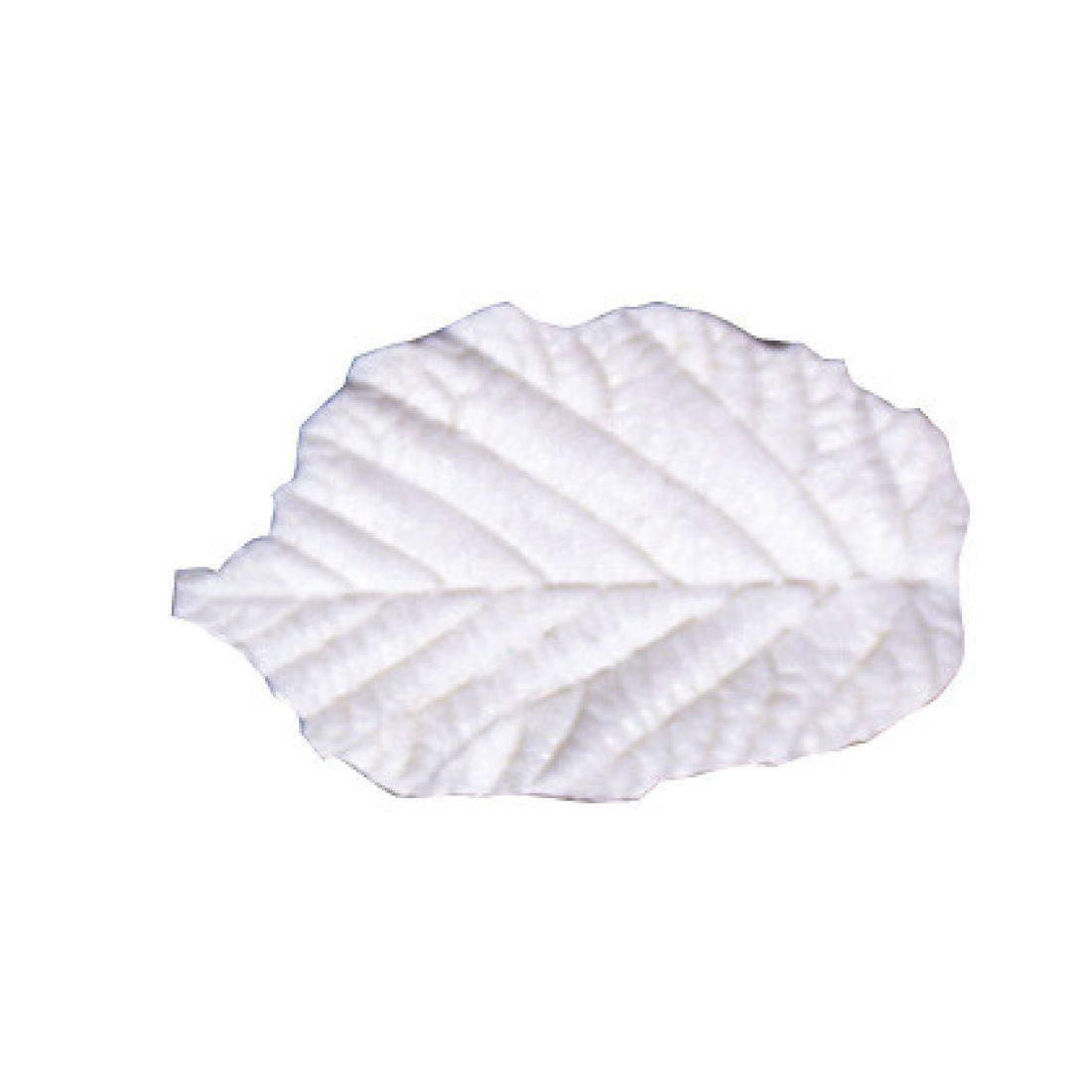 Squire Kitchen Silicone Veiner Hazel (Corylus)-Large Leaf 5.0cm