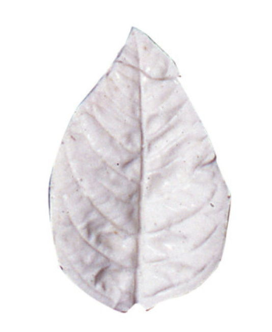 SK Great Impressions Silicone Veiner Poinsettia Large Petal 6.5cm