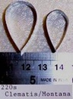 Clematis/montana petal FC 220S set of 2