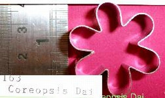 Coreopsis dais 163 Framar Cutter