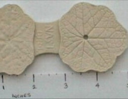 Nasturtium leaf- veiner-DPM Mould