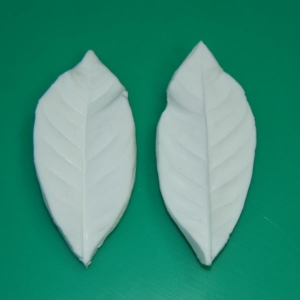 SK GI Leaf Veiner Gardenia 8.5cm L