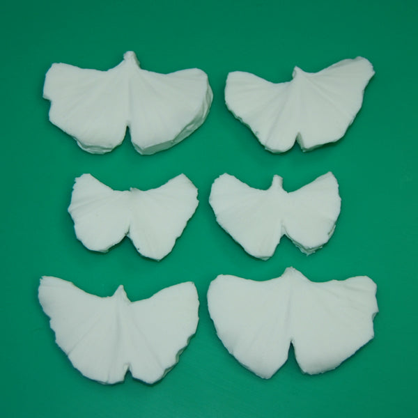 SK GI Leaf Veiner Maidenhair Tree Gingko 6.5/5.5/4.5cm