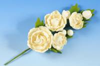 Gum Spray- Peony A: Large-L 175mm x W 110mm CHOOSE A COLOUR