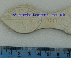 Vanda orchid petal medium-DPM veiner