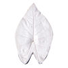 SK-GI Leaf Veiner Caladium ( Angels Wings) Very Large 12.0cm