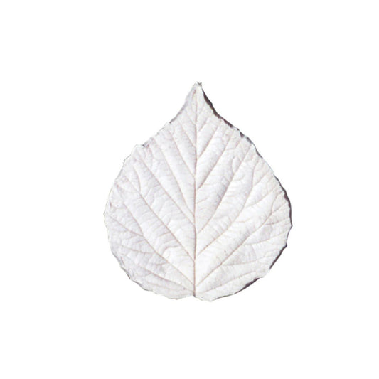 Squire Kitchen   Silicone Veiner Blackberry-Large Leaf 6.5cm