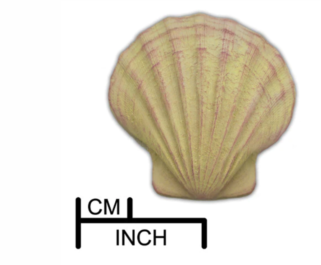 Shell #3 Mould By DPM