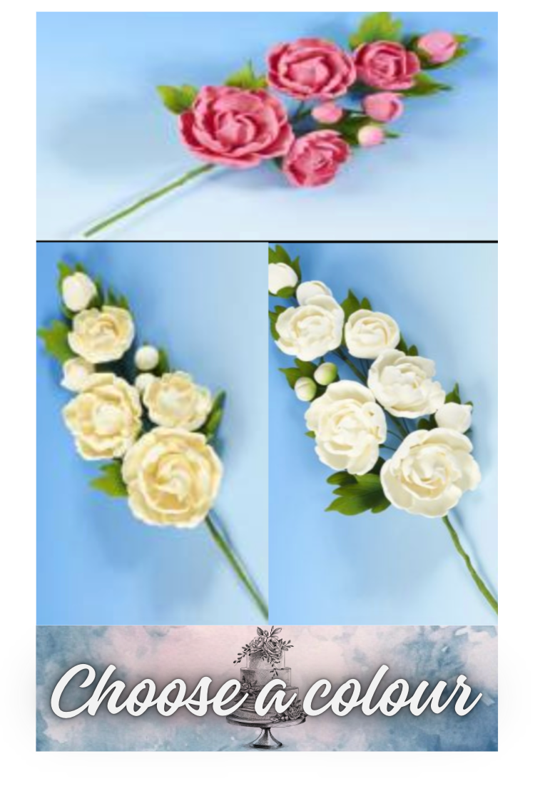 Gum Spray- Peony A: Large-L 175mm x W 110mm CHOOSE A COLOUR