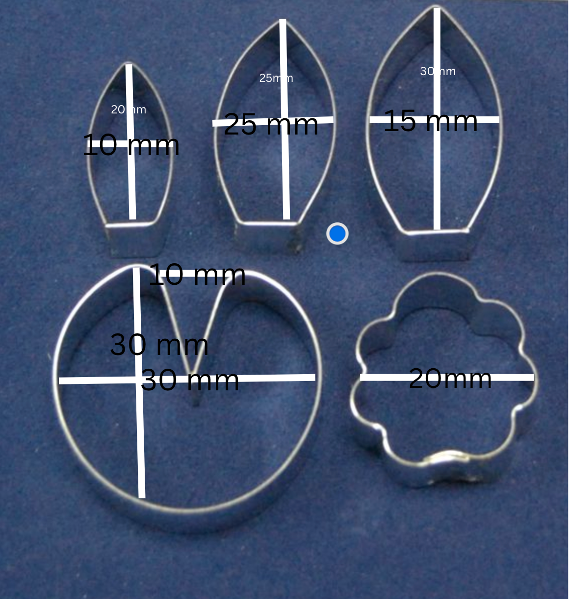 Water lily set of 5--- 65S