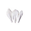 Squire Kitchen  GI Petal Veiner Amaryllis Wide and Narrow set of 3