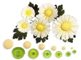Daisy Centre Stamps - Set of 6--JEM #103FF024