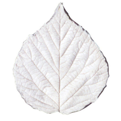 Squire Kitchen  Silicone Veiner Blackberry Small Leaf Set of 3