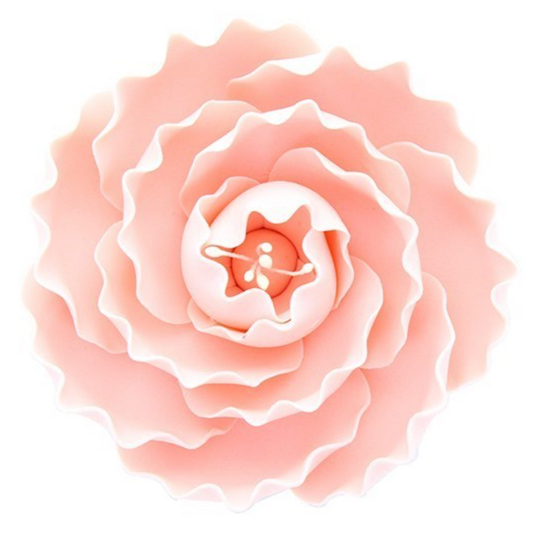 Gumpaste Briar Rose Pink 76mm (3'') -222322