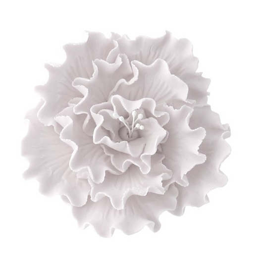 White Sugar Briar Rose -75mm-50461