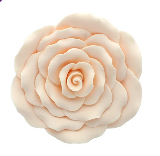 Ivory Sugar Rose- 102mm-50462