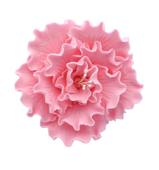 Pink Sugar Briar Rose-75mm- 50460
