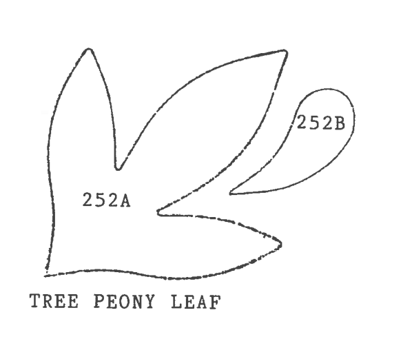Peony Tree leaf Framar Metal Cutters set of 2 - 252s
