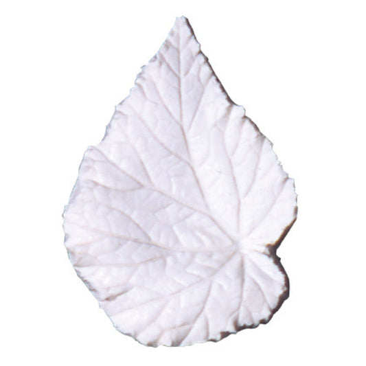 Squire Kitchen Silicone Veiner Begonia Rex (King Begonia) L