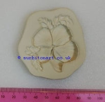 Anemone-DPM MOULD