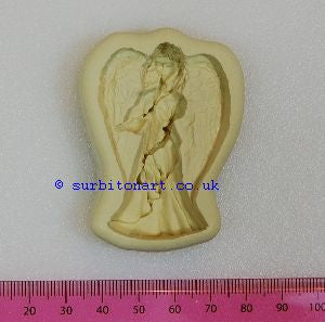 Angel-DPM MOULD