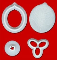 * Bourganvillea (Set of 4)