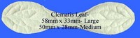 Clematis leaf  medium-DPM DPM veiner