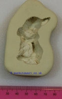 Cute cat DPM Mould