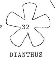 Dianthus Cutter FC32