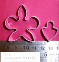 Orchid - cooktown-164s Framar Cutter