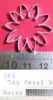Ten petal daisy-165