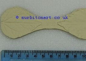 Hibiscus leaf- medium DPM veiner
