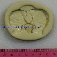 Orchid, Moth  large 'DPM