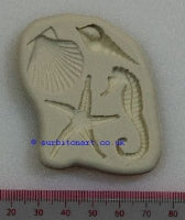 Seashore, small - DPM