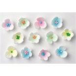 Assorted Sugar Flowers - Pink, Lilac, Green, Blue, Yellow