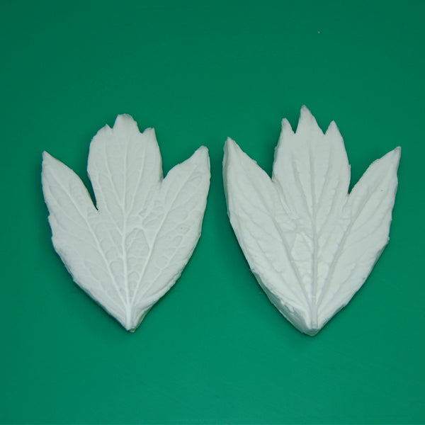 SK GI Leaf Veiner Peony - Tree - Kinshi 9.5cm Triple-GM01P001-03