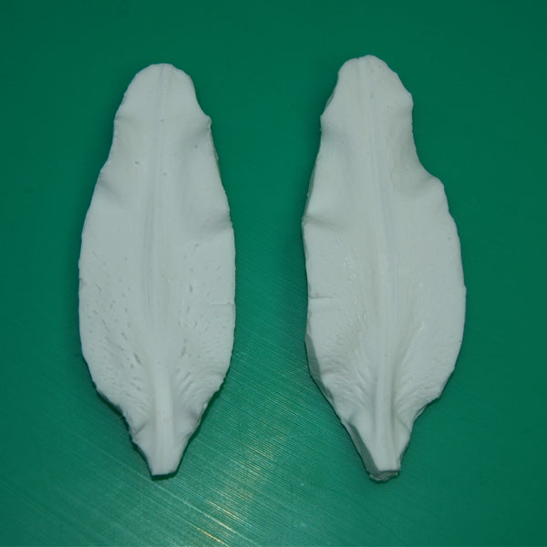 SK GI Petal Veiner Lily Stargazer  A  10.0cm-GM05L008-01