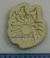 Sunflower mould DPM