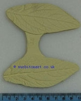 Viburnum leaf-DPM veiner
